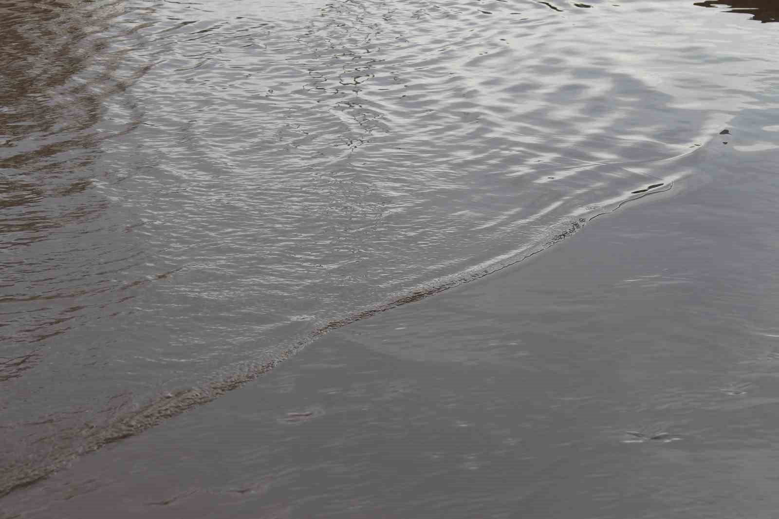 Adana’da altyapı isyanı: Esnaf göle dönen sokakta olta attı
