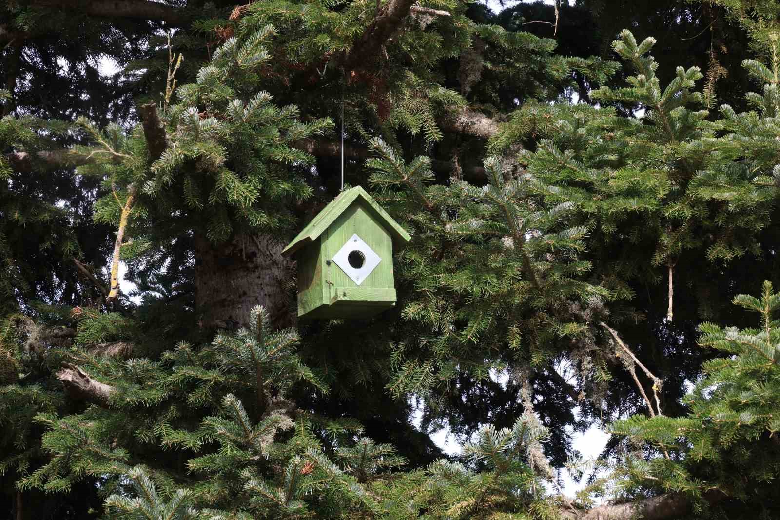 Adana’da bir yanda kar, bir yanda bahar
