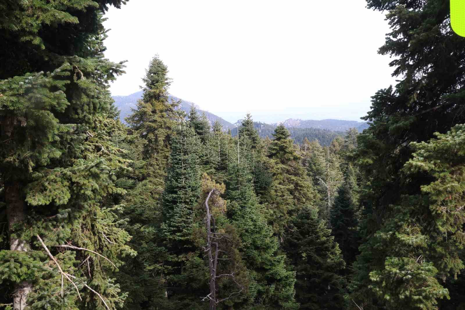 Adana’da bir yanda kar, bir yanda bahar
