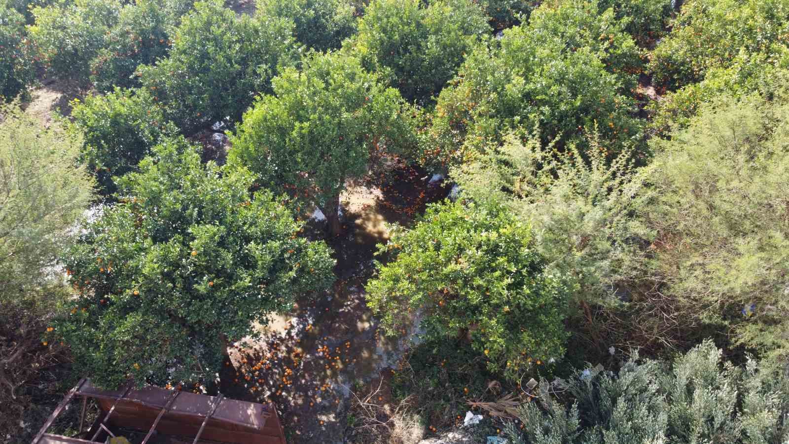 Adana’da iğrenç manzara: Lağımlar sokağa taşıyor, çocuklar üzerinden atlamak zorunda kalıyor
