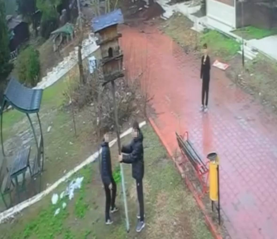 Adana’da parktaki kuş yuvasını parçaladılar
