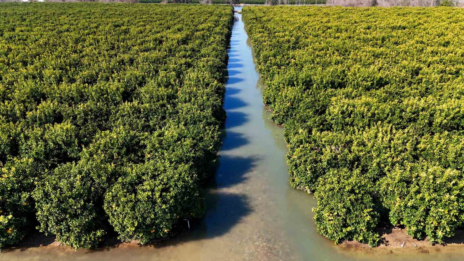 Adana’da sel suları tarım arazilerini sular altında bıraktı
