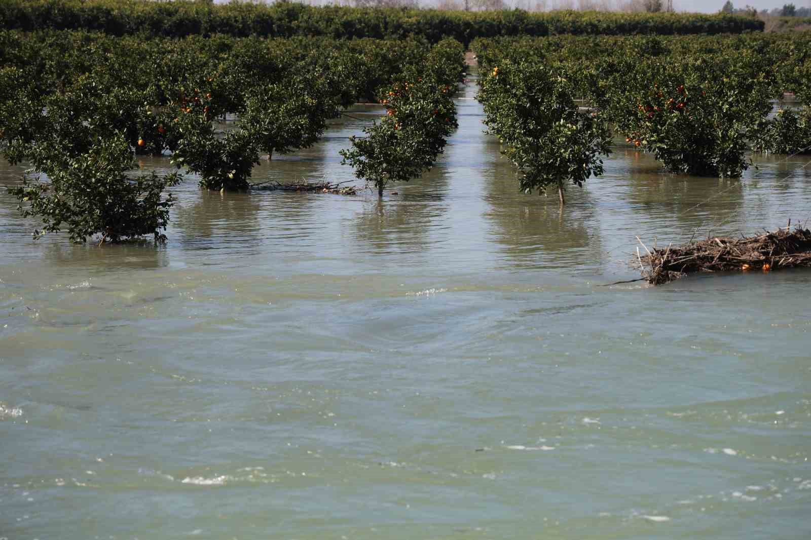 Adana’da sel suları tarım arazilerini sular altında bıraktı
