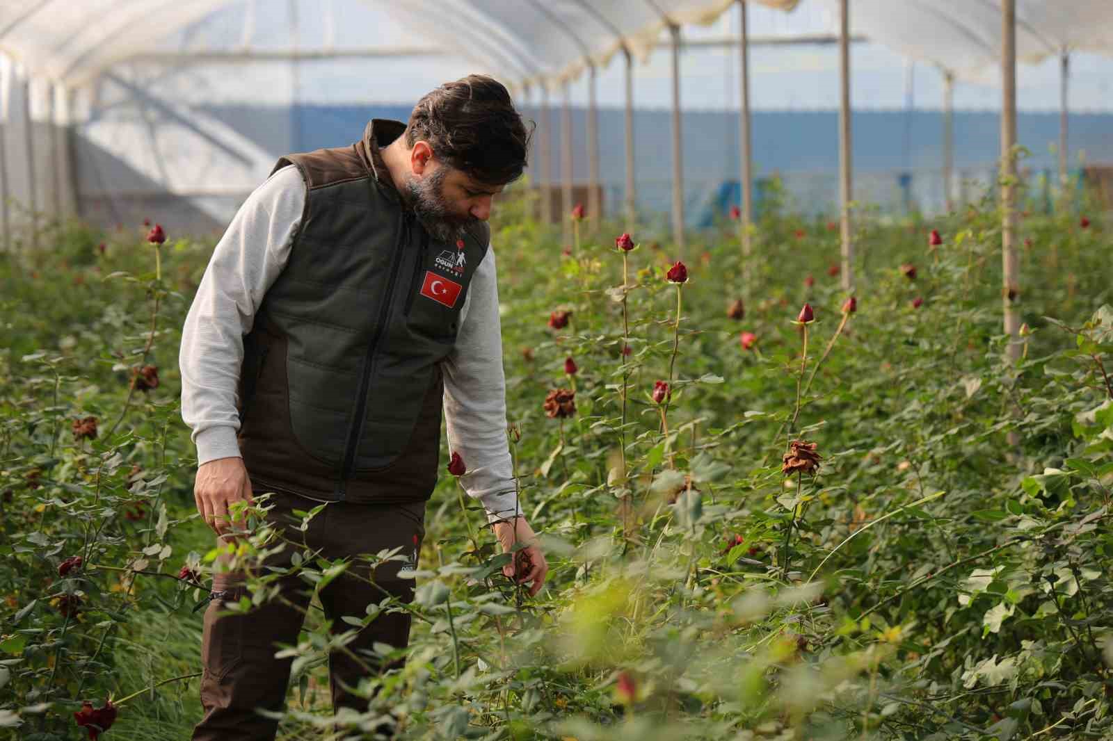 Adana’da sevgililerin gülleri dalında kurudu
