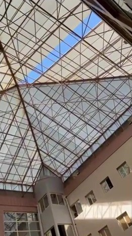 Adana’da şiddetli rüzgar ağaçları devirdi
