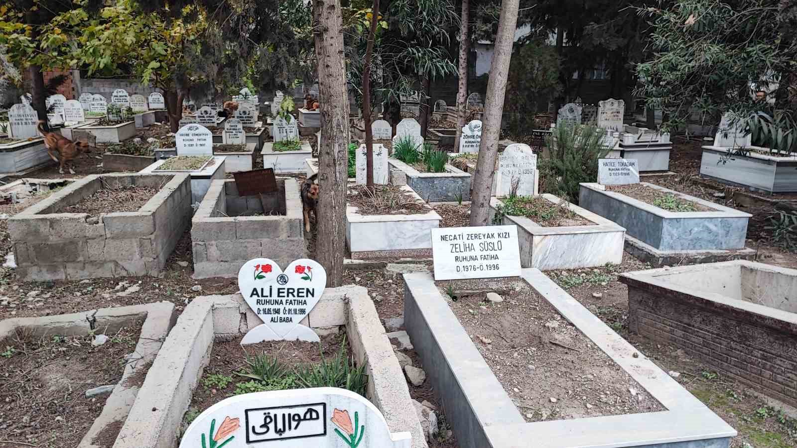 Adana’da sokak köpeği endişesi
Adana’da sokak köpeği endişesi