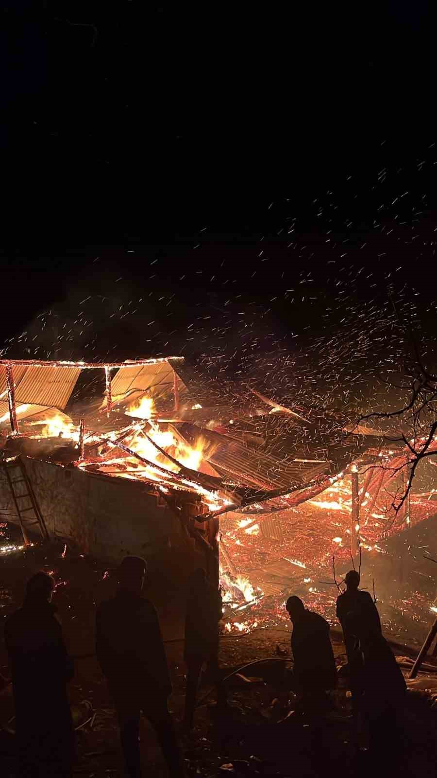 Adana’da yangın: Ev ve ahır küle döndü
