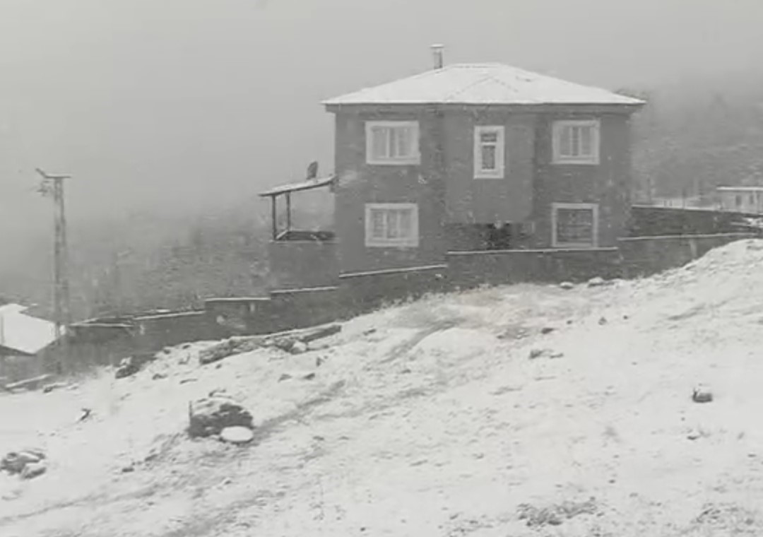 Adana’da yaylalarda kar etkili oldu
