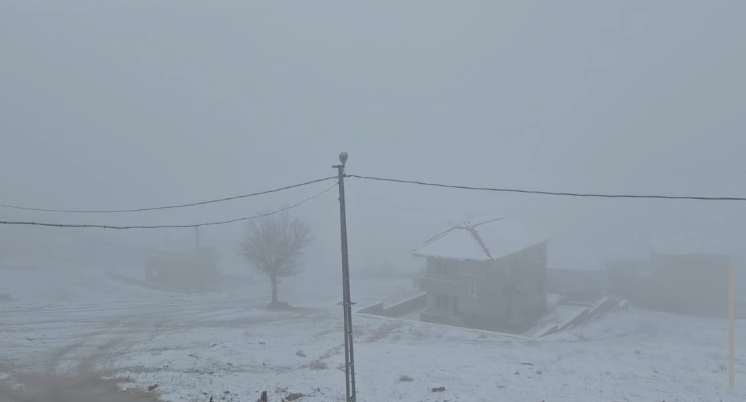 Adana’da yaylalarda kar etkili oldu
