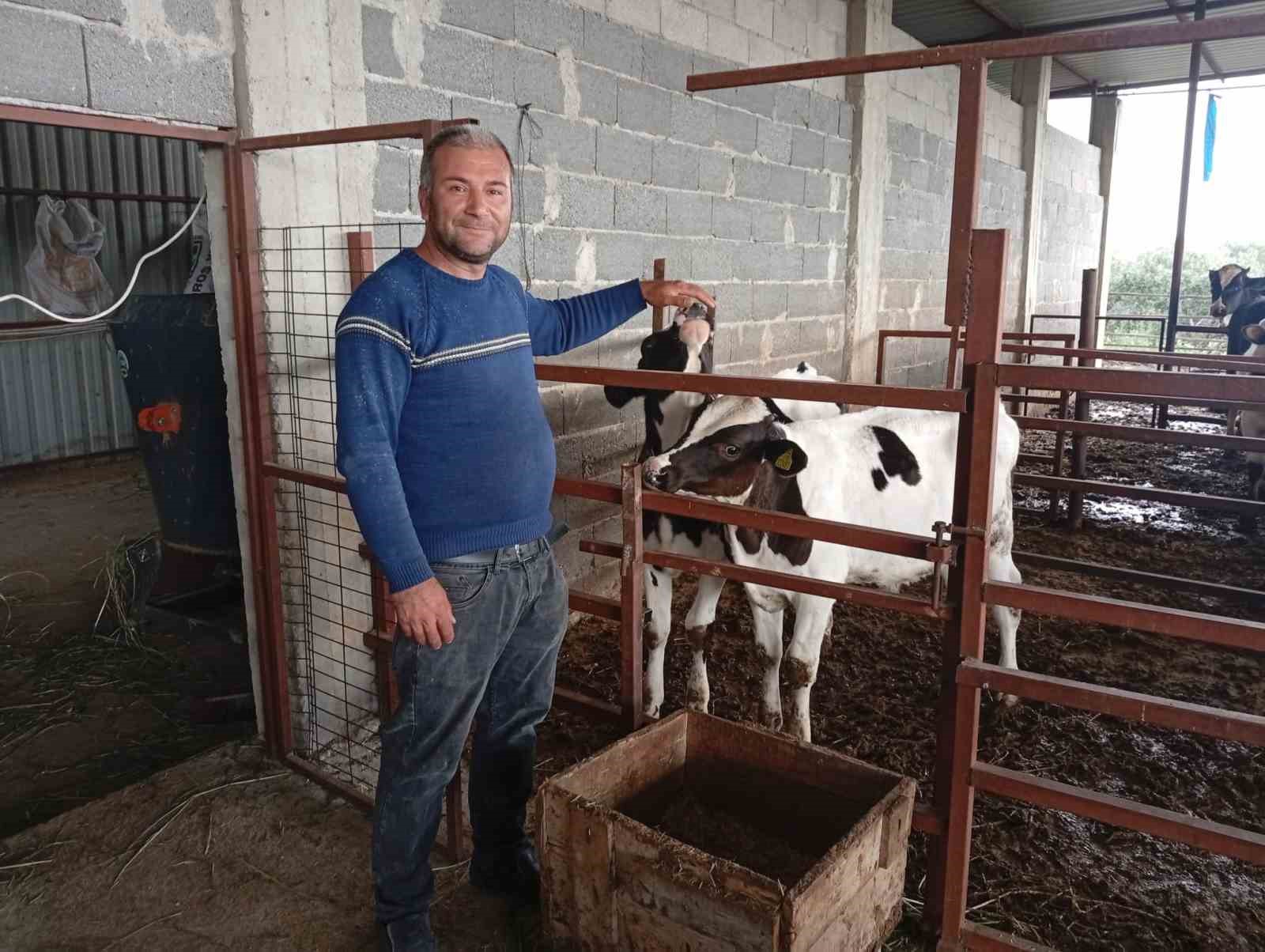 Adanalı üreticiden süt verimi için ilginç yöntem
