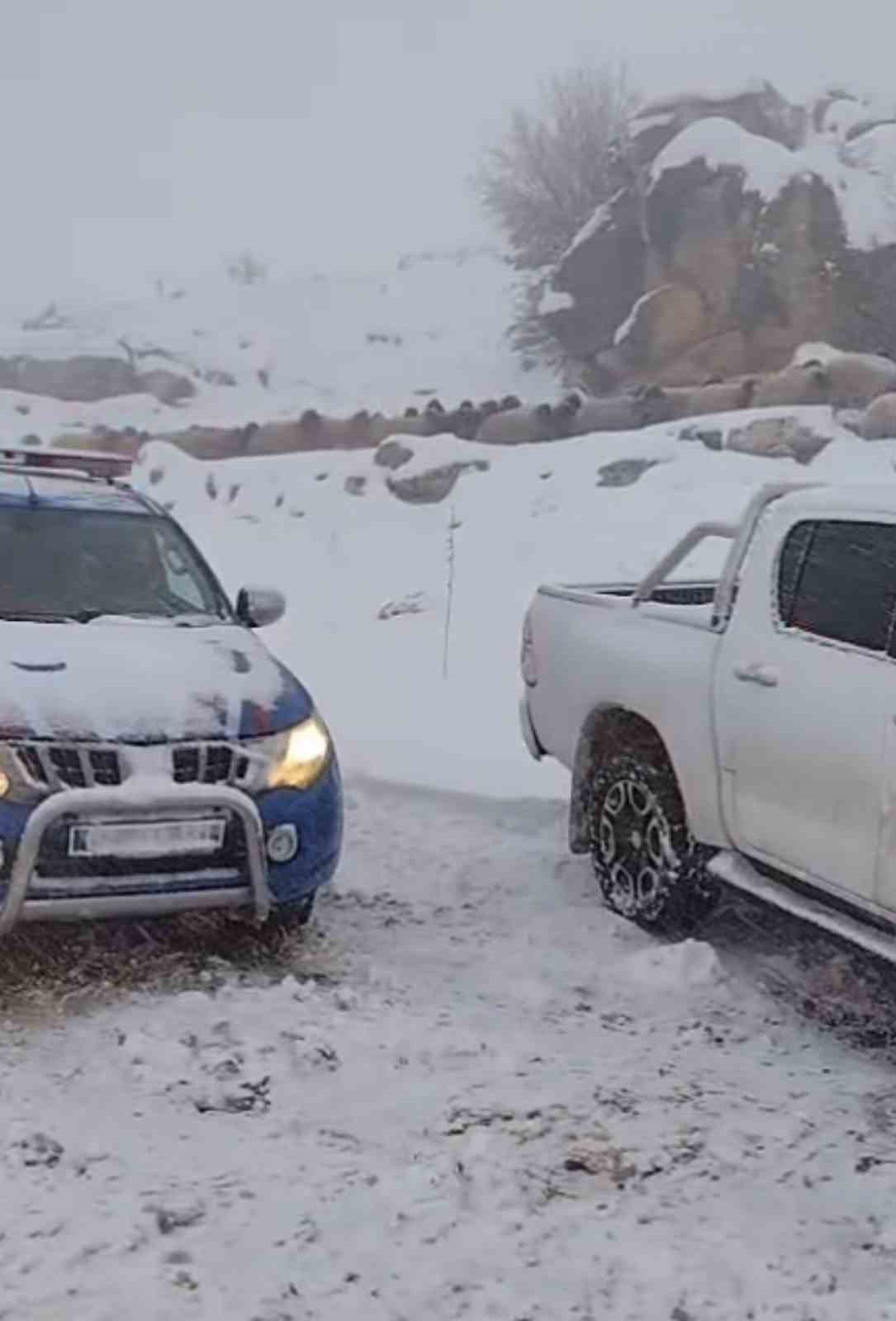 Adıyaman’da dağda mahsur kalan iki çoban ve 800 küçükbaş hayvan kurtarıldı

