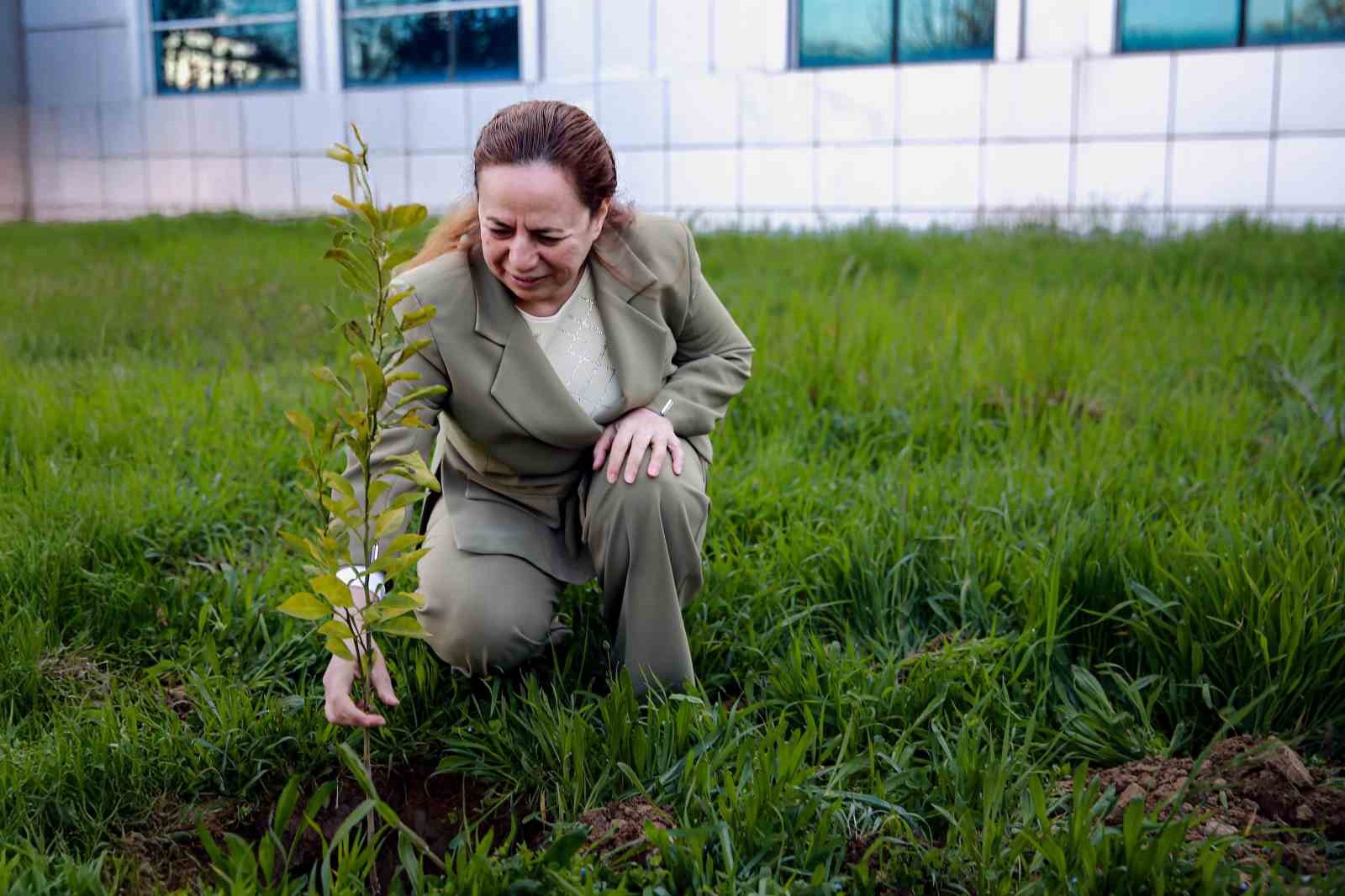 ADÜ’de fidanlar Muhsin Yazıcıoğlu anısına dikildi
