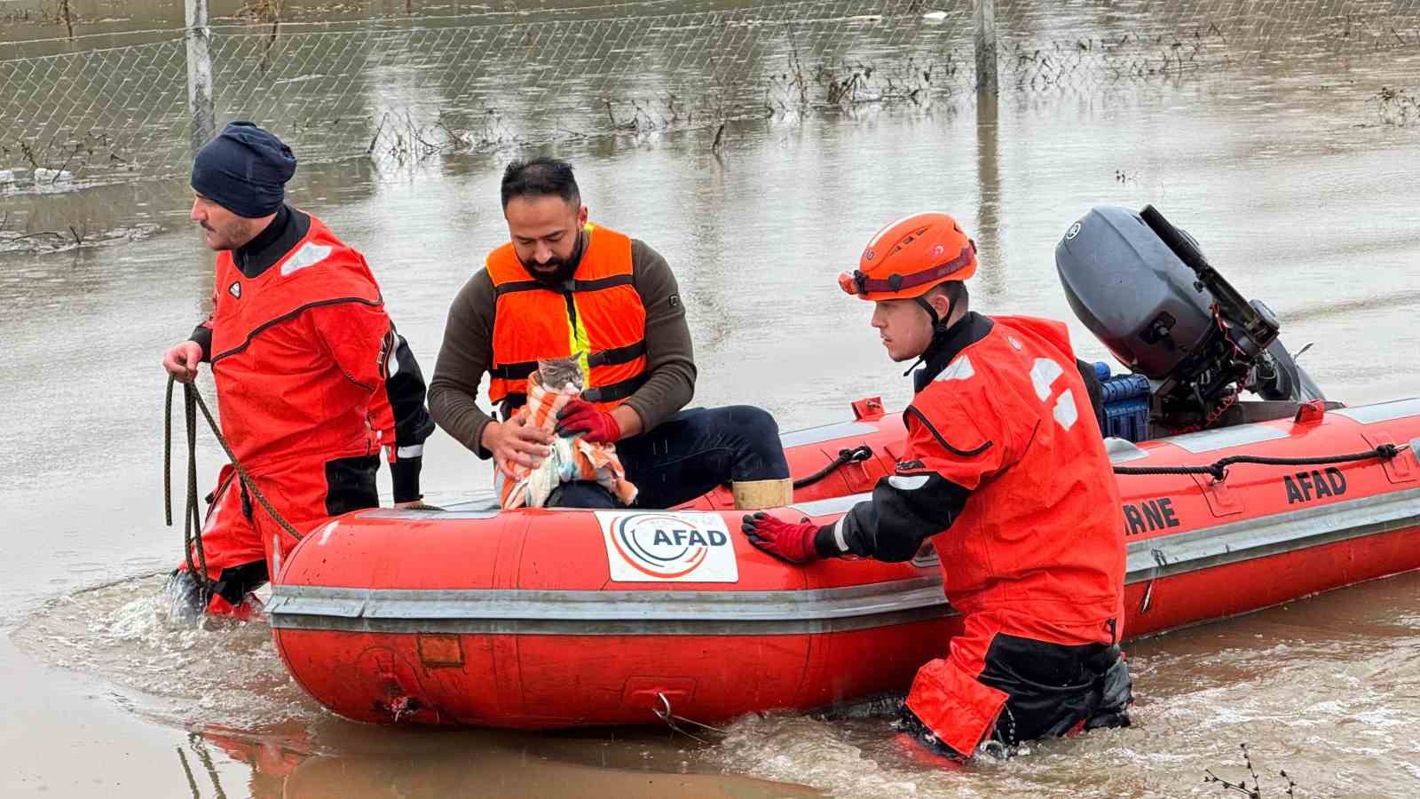 AFAD mahsur kalan hayvanları tahliye ediyor
