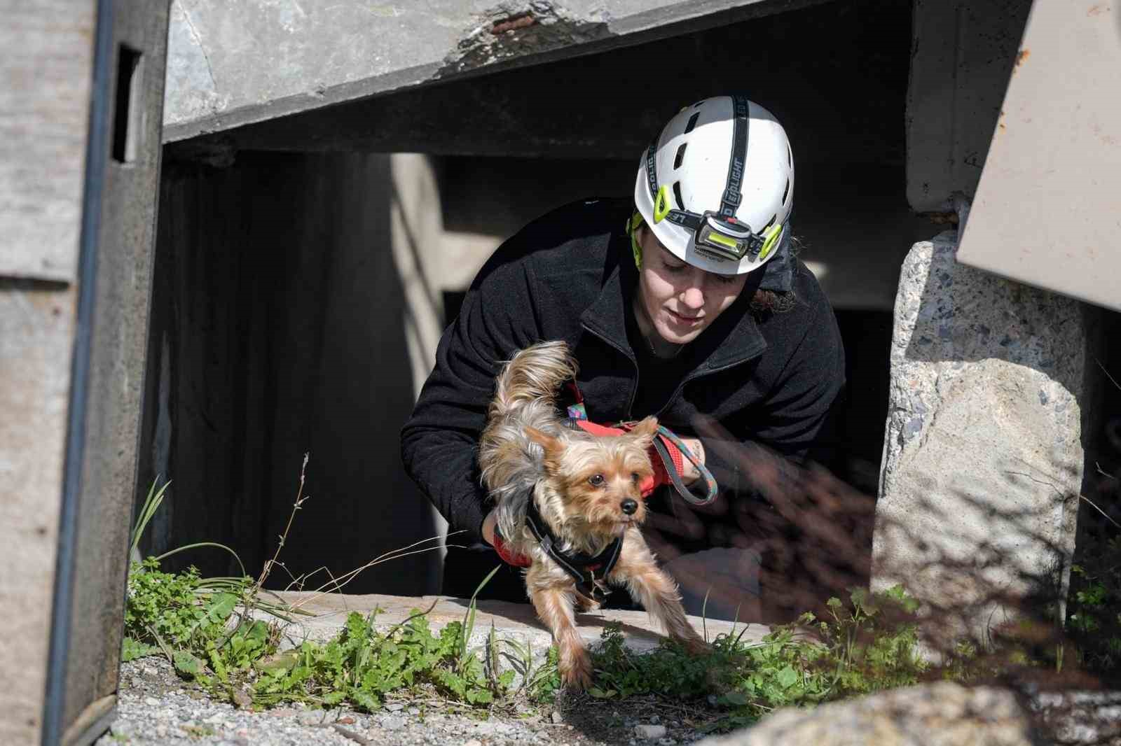 Afetlerde mahsur kalan hayvanlar unutulmayacak

