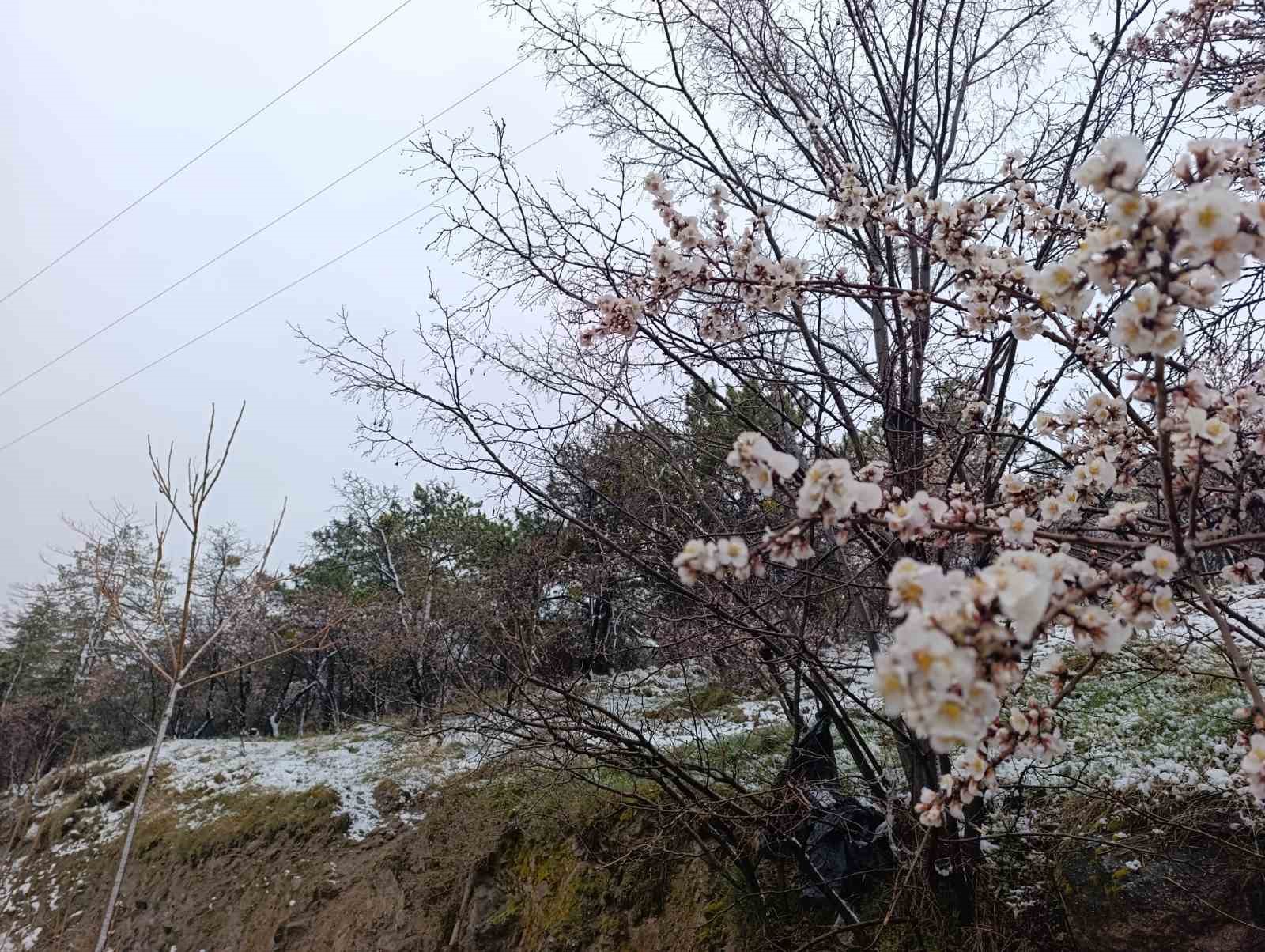 Afyonkarahisar’da kar yağışı
