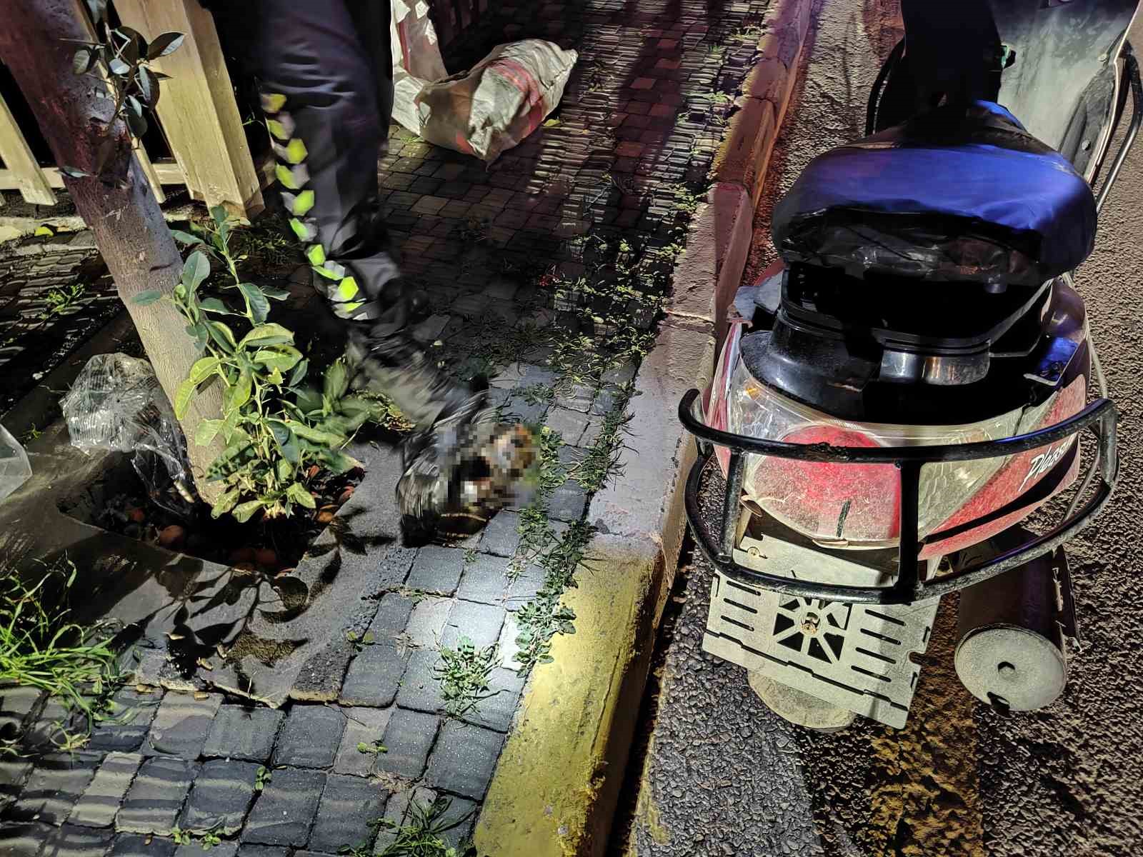 Ağaca çarpan motosikletli yaralandı, alkollü olduğu tespit edilince para cezası kesildi
