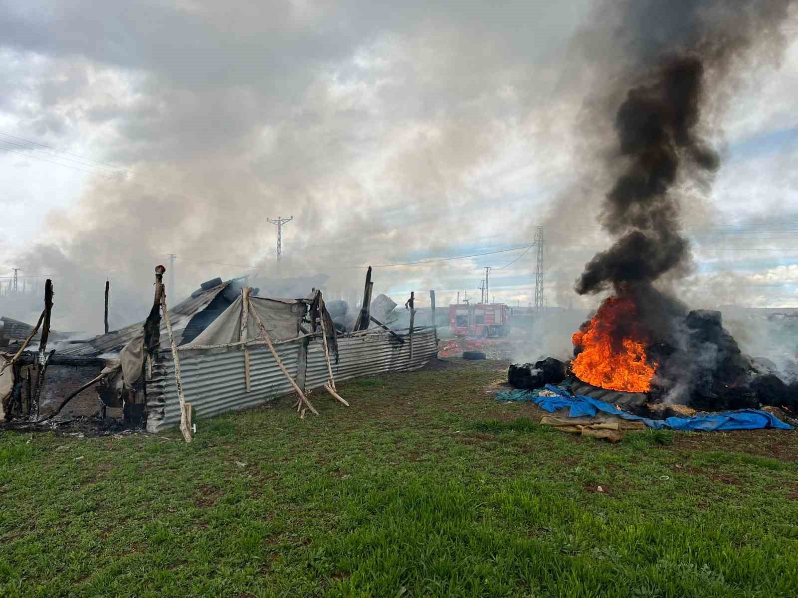 Ağıl ve saman balyaları alev alev yandı
