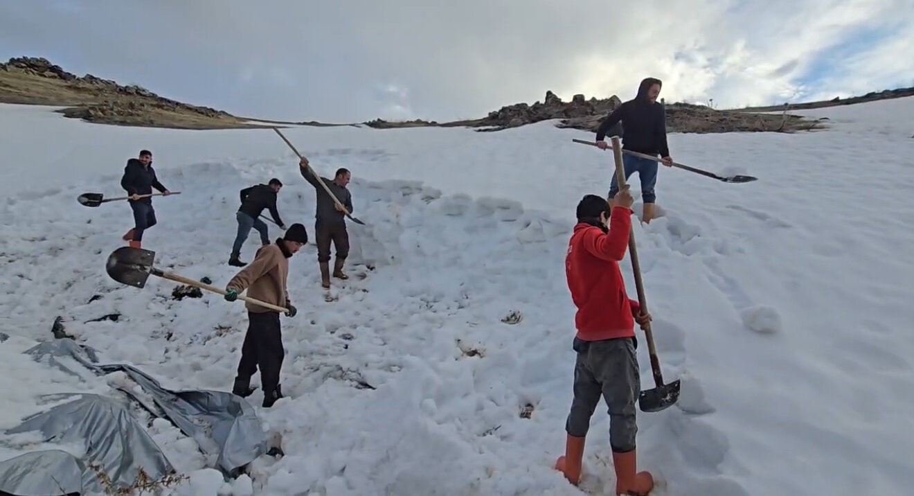 Ağrı Dağı eteklerinde kar depolama mesaisi
