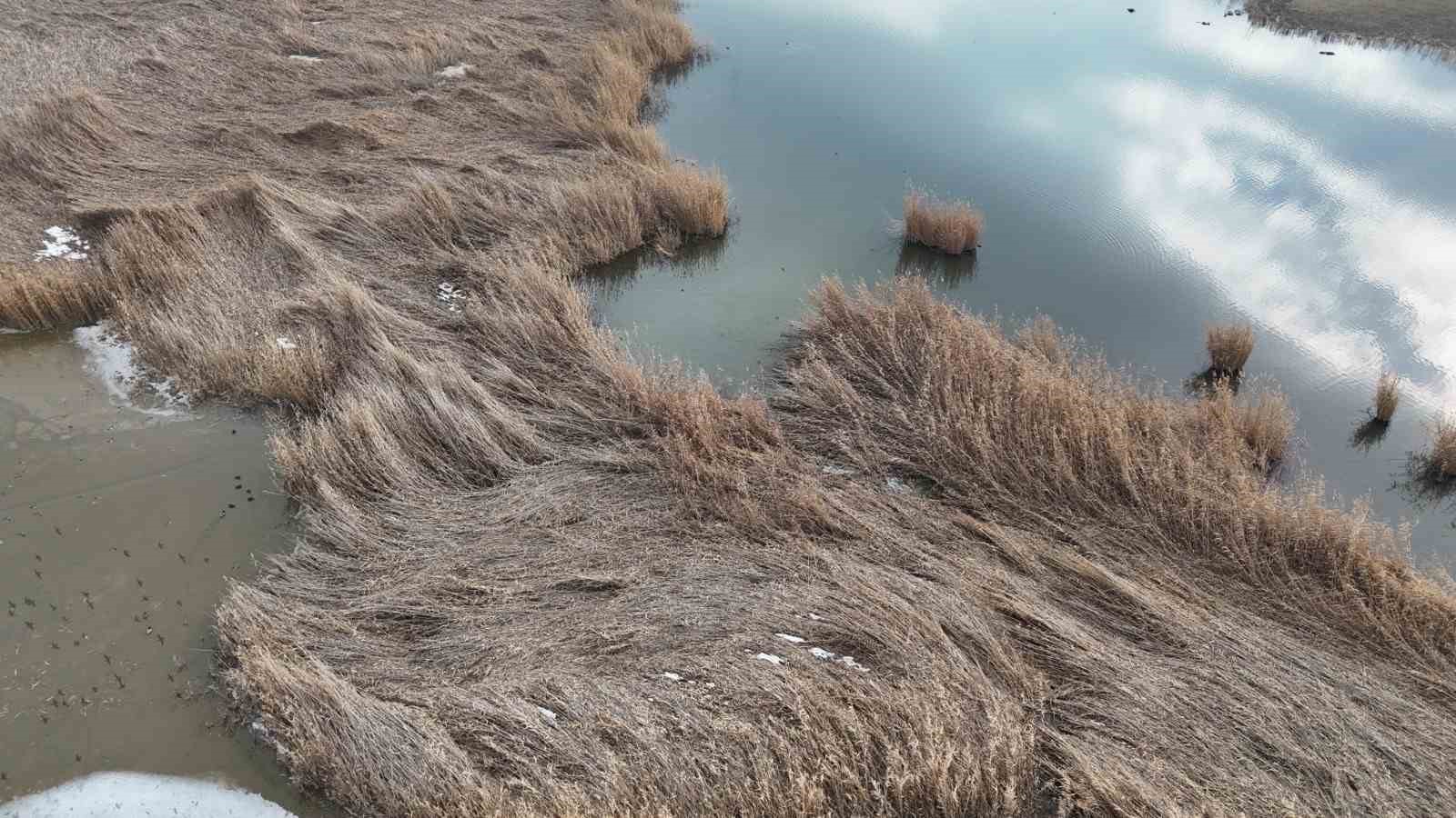 Ağrı Dağı Milli Parkı 200’ü aşkın kuş türüne ev sahipliği yapıyor
