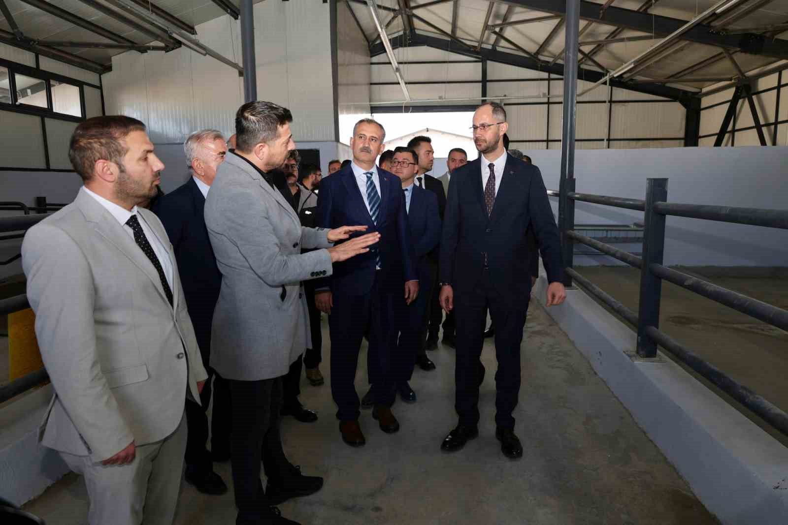 Ağrı’da 307 ahırlık hayvancılık üssü hayata geçiyor
