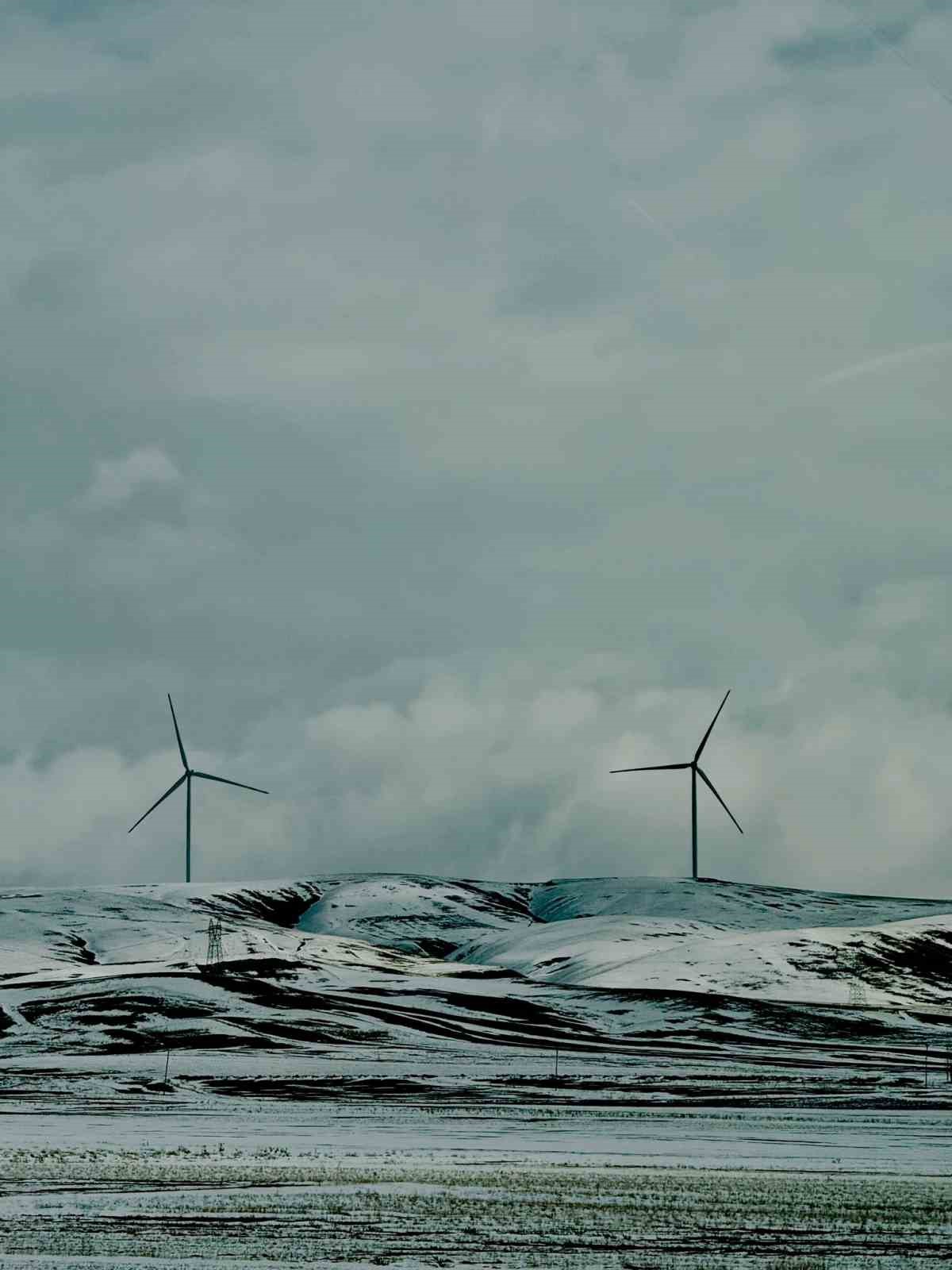 Ağrı’da etkili olan kar yağışı kenti beyaza boyadı
