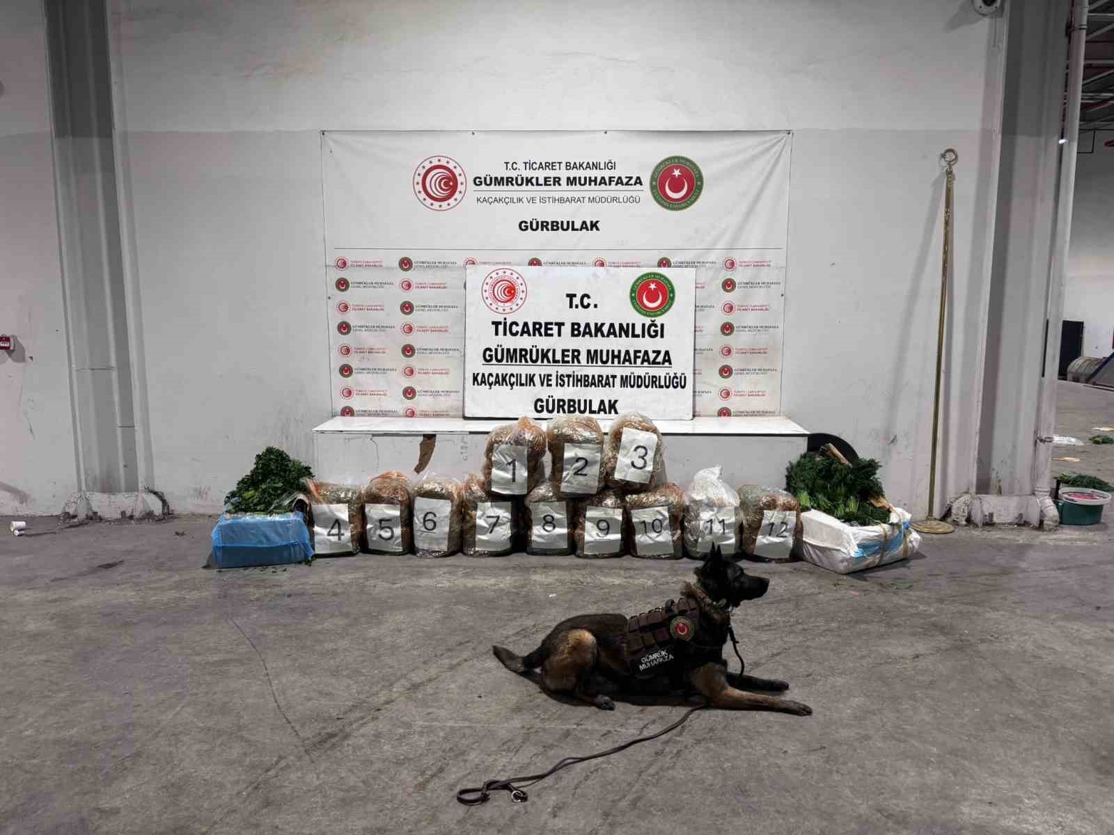 Ağrı’da Gürbulak Sınır Kapısı’nda 51 kilo 520 gram esrar ele geçirildi
