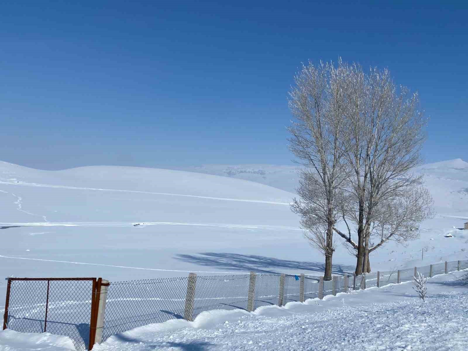 Ağrı’da kar manzarası görsel şölen oluşturdu
