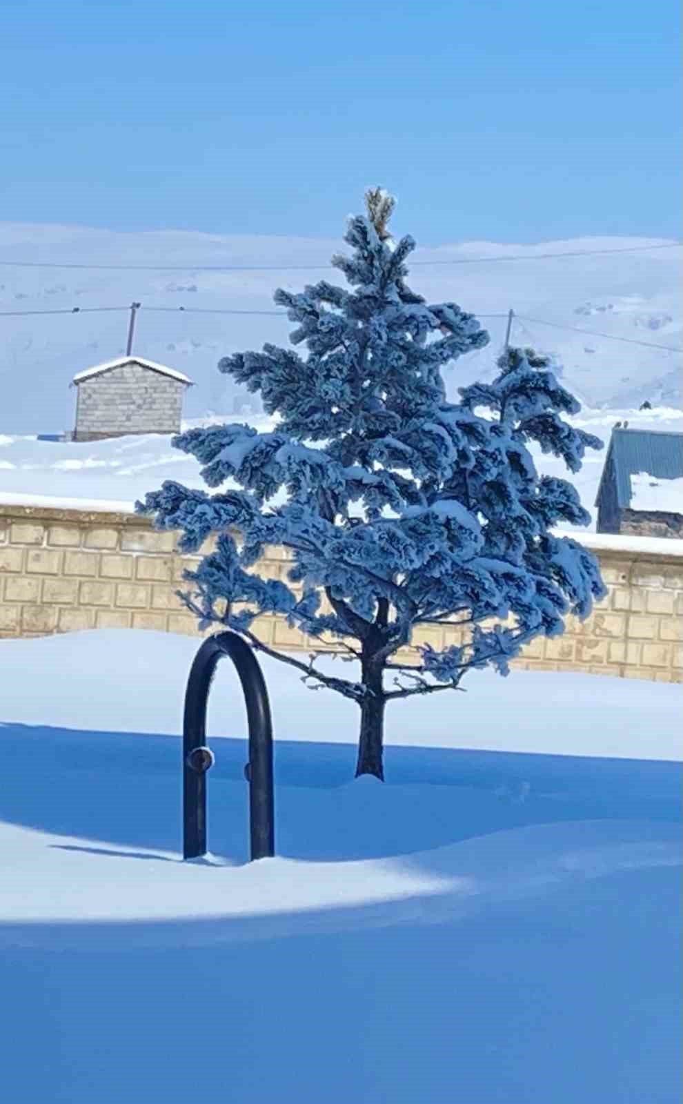 Ağrı’da kar manzarası görsel şölen oluşturdu
