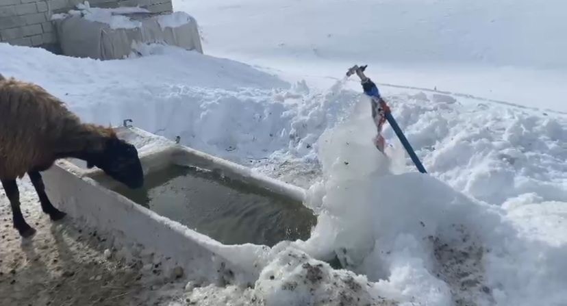 Ağrı’da köyler kışın tamamen kar altında kaldı
