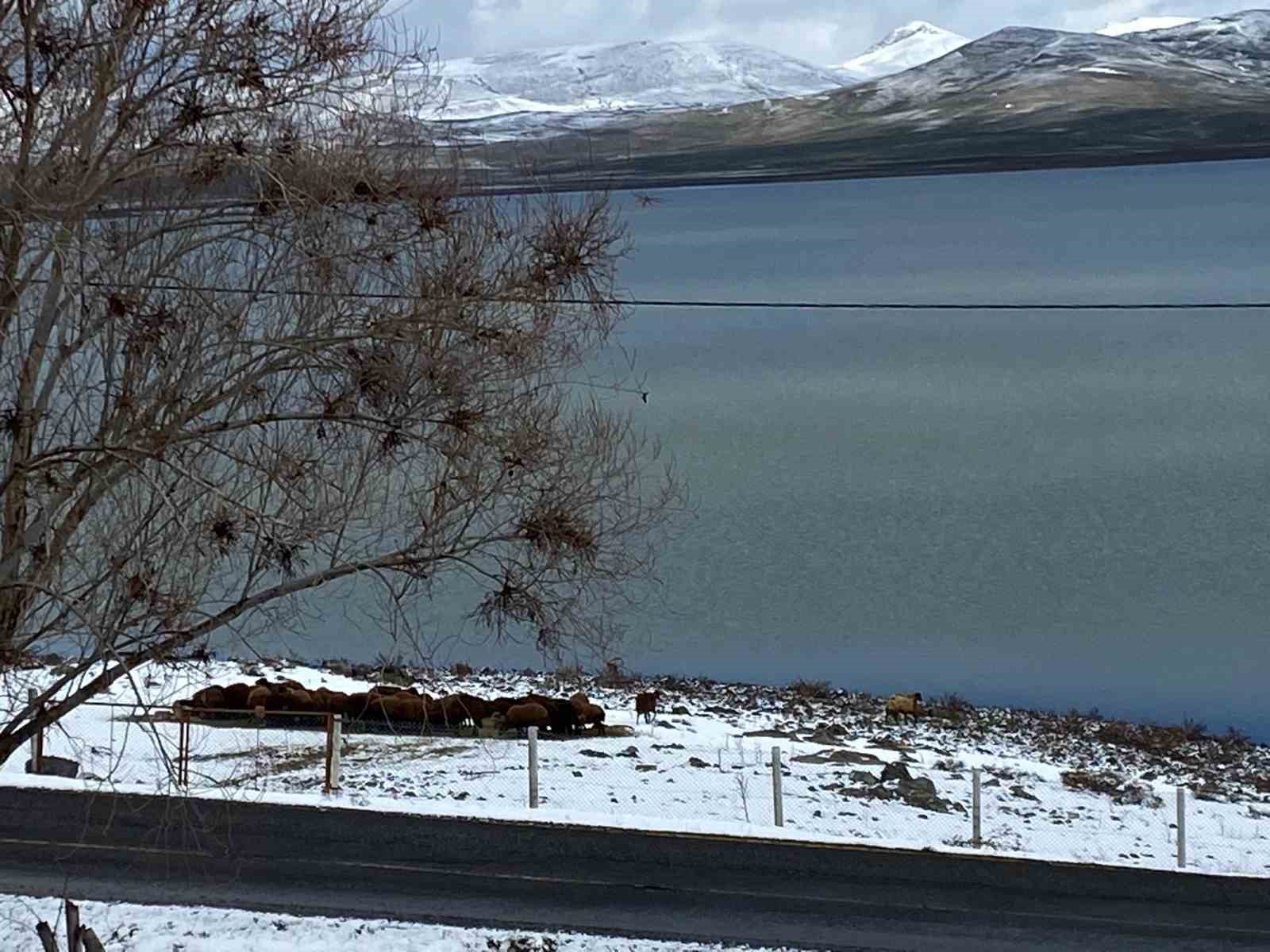 Ağrı’da Nisan ayında kar sürprizi
