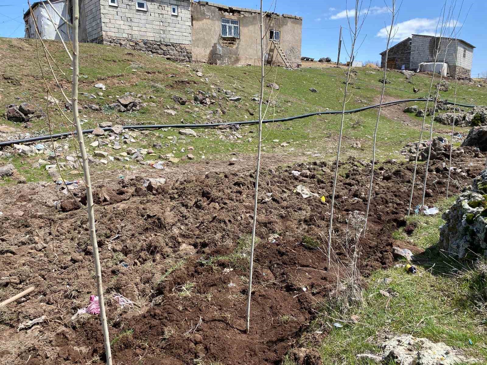 Ağrı’da vatandaşlar imece usulü fidan dikerek geleceğe nefes oluyor
