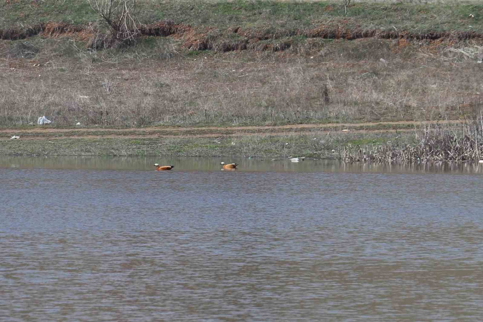 Ağustos ayında kurumaya başlayan Kızılca göleti yeniden doldu
