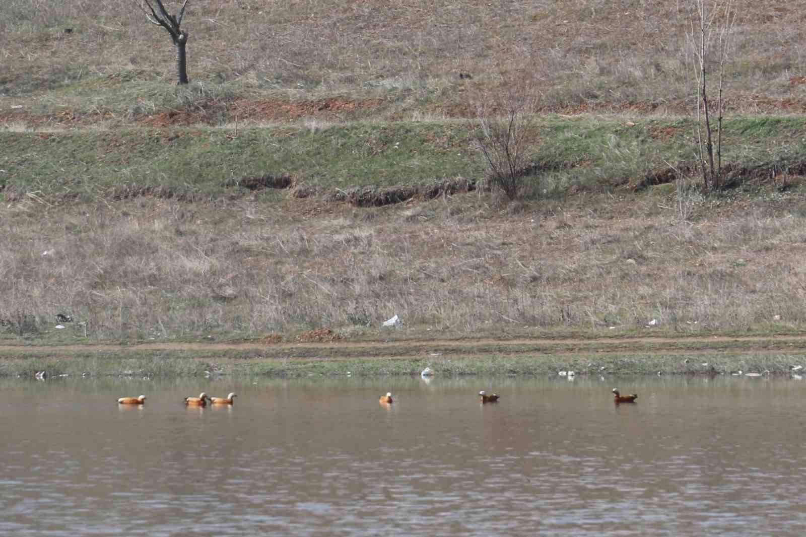 Ağustos ayında kurumaya başlayan Kızılca göleti yeniden doldu
