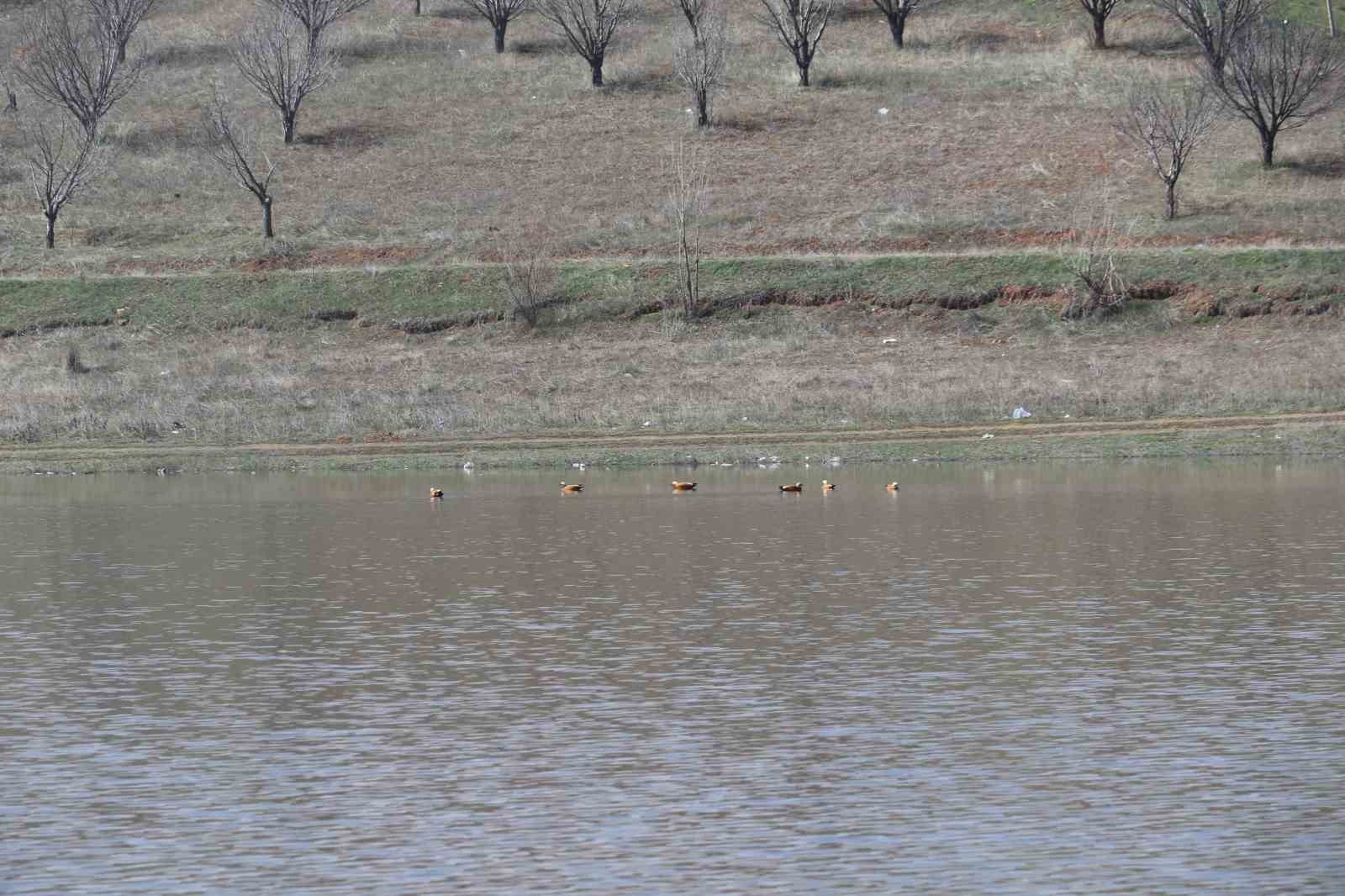 Ağustos ayında kurumaya başlayan Kızılca göleti yeniden doldu
