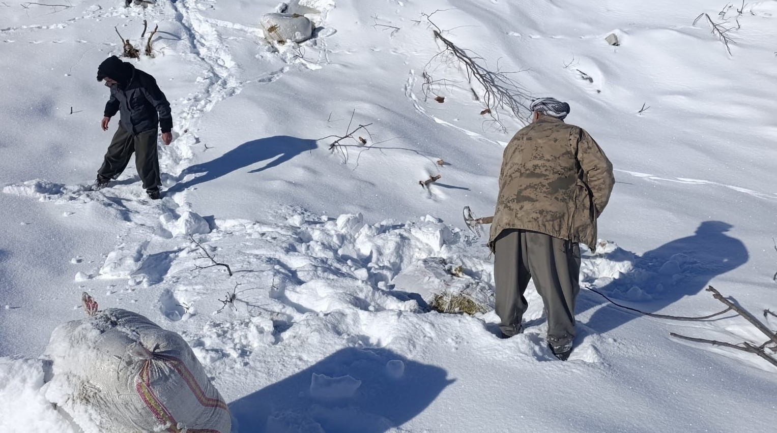 Ahırların üzerine çığ düştü, küçükbaş hayvanlar telef oldu
