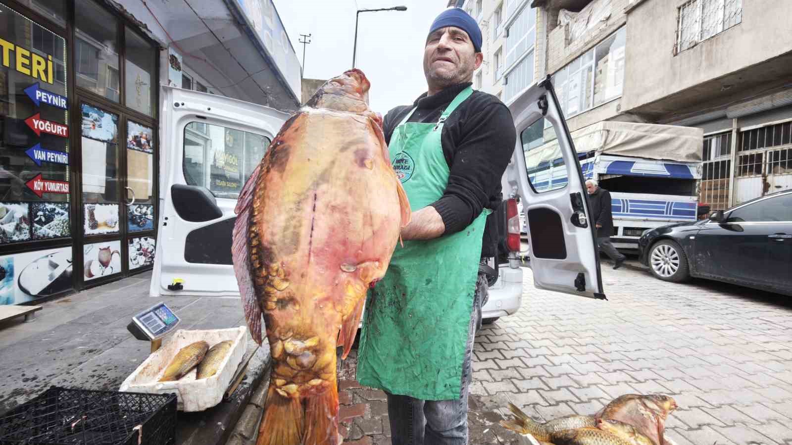 Ahlat’ta dev sazan balıklarına yoğun ilgi
