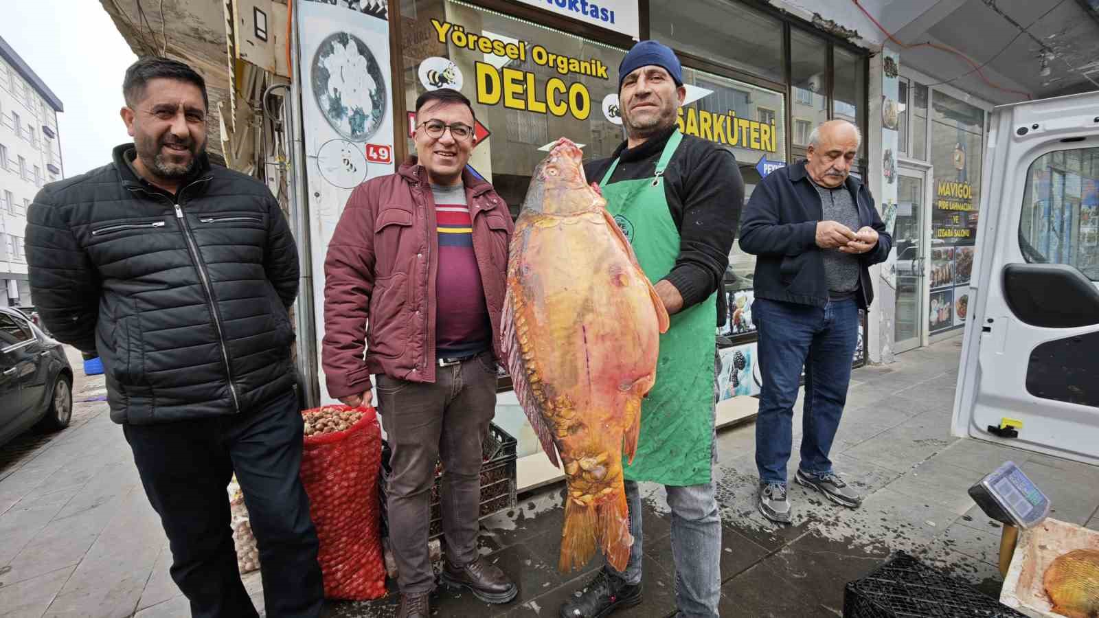 Ahlat’ta dev sazan balıklarına yoğun ilgi

