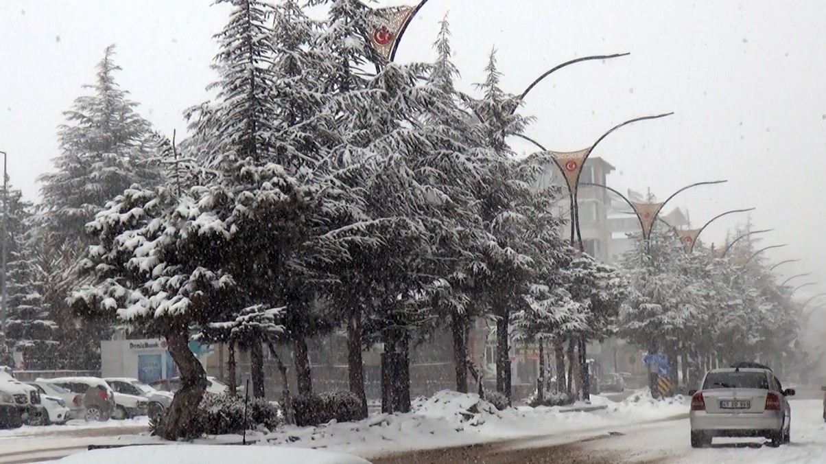 Ahlat’ta mart karı sürprizi: 11 köy yolu ulaşıma kapandı
