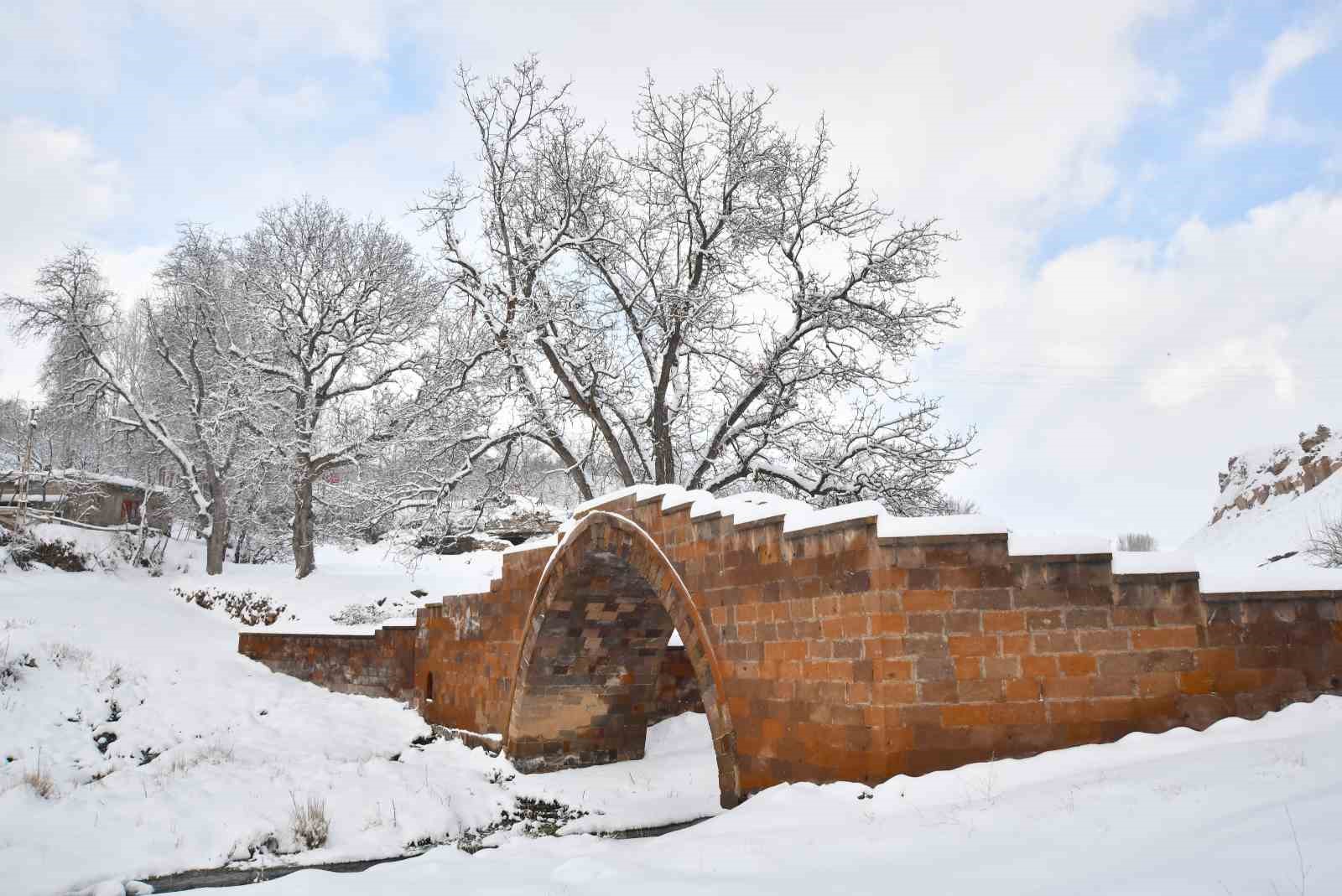Ahlat’ta masalsı kış manzaraları
