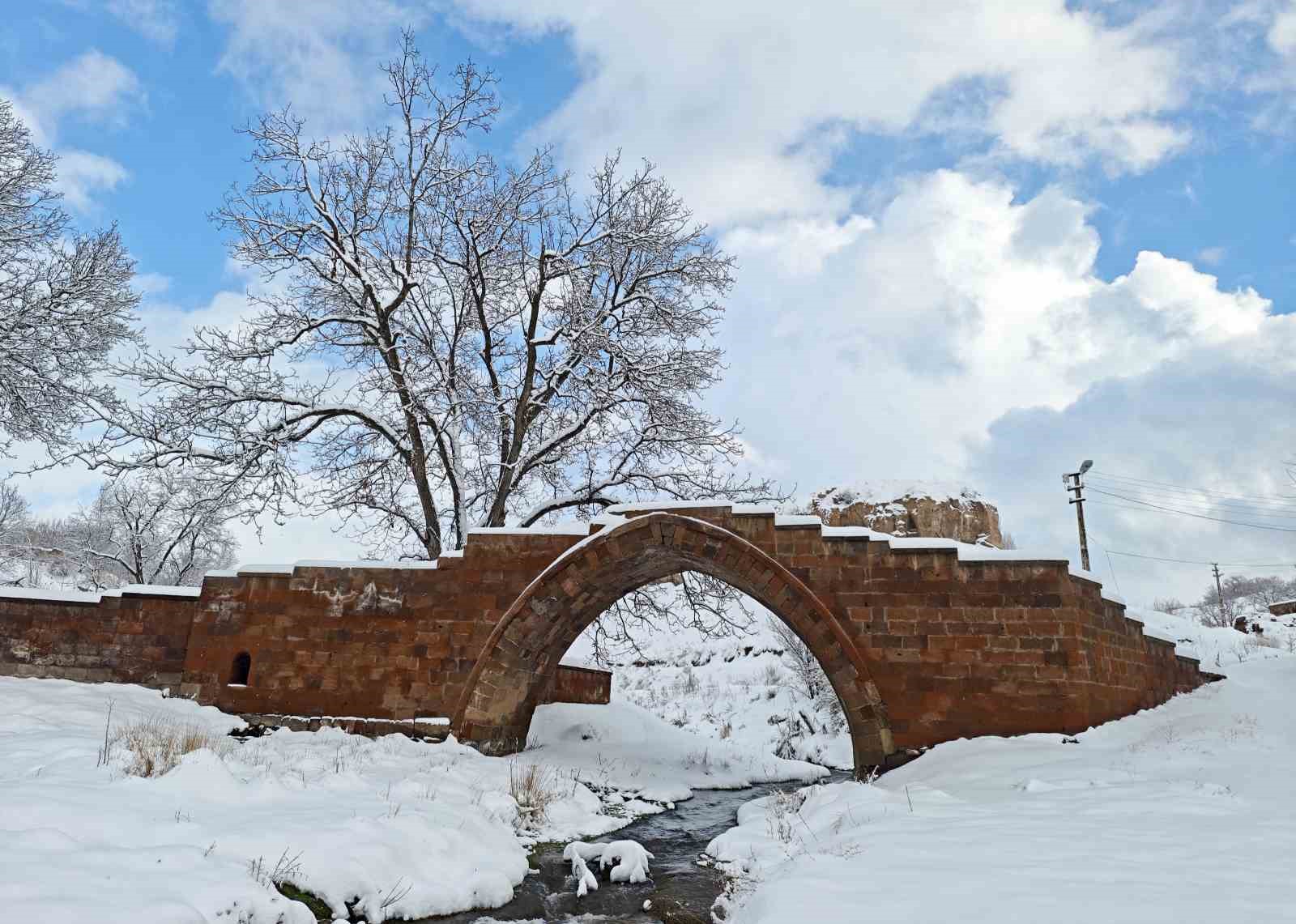 Ahlat’ta masalsı kış manzaraları
