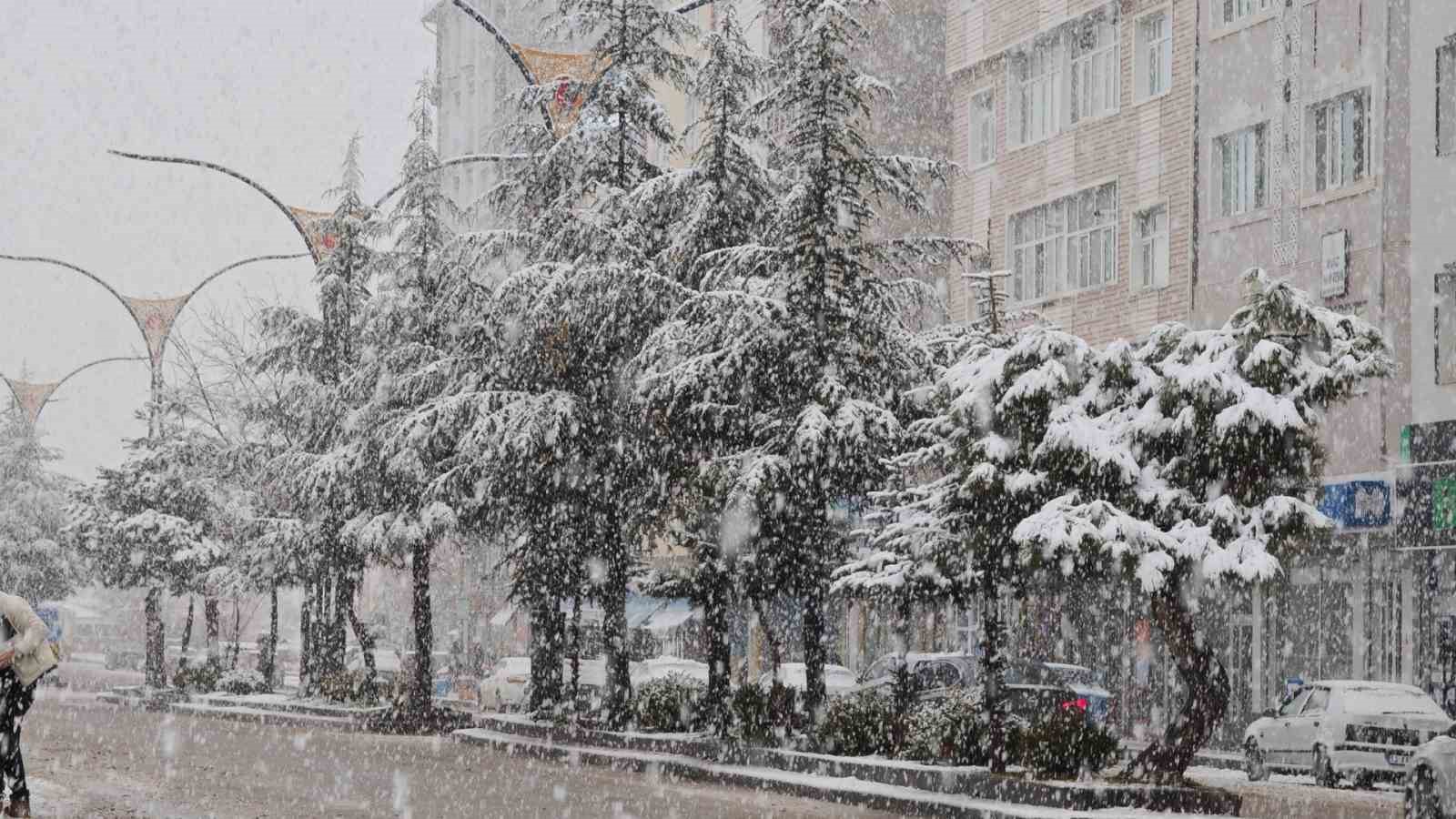 Ahlat’ta nisan karı etkili oldu
