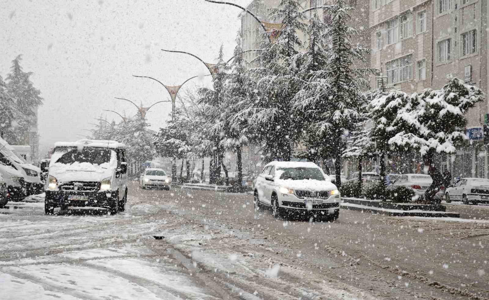 Ahlat’ta nisan karı etkili oldu
