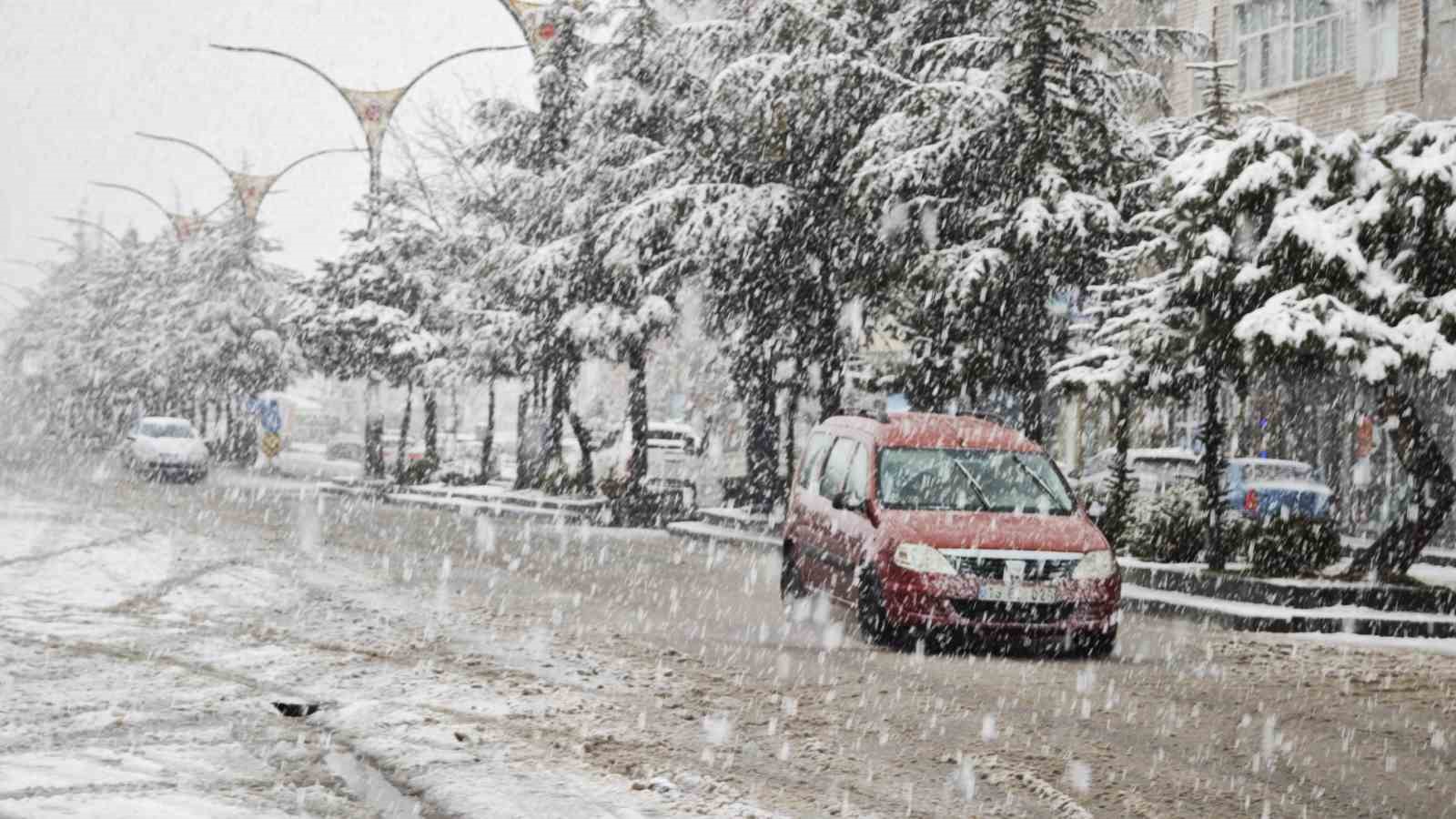 Ahlat’ta nisan karı etkili oldu
