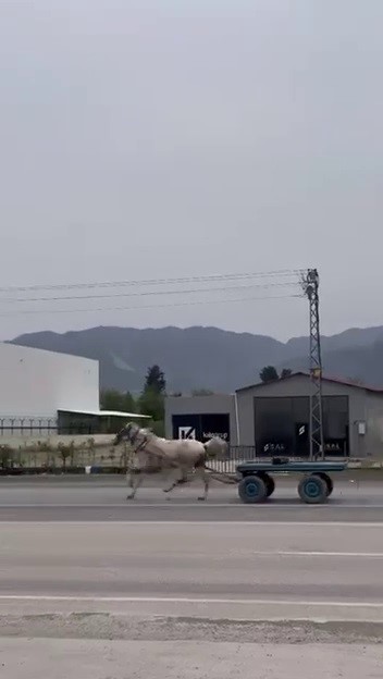 Akan trafikte panik anları: Kaçak at pistte yarışırcasına ilerledi
