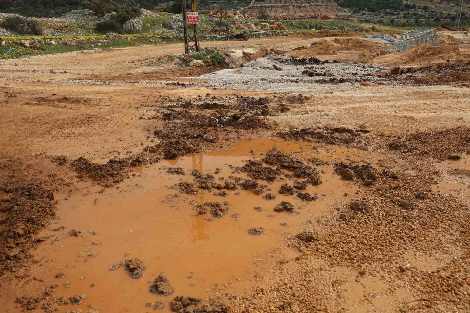 Akaryakıt karıştığı iddia edilen yağmur suyu birikintisinden su içen 43 küçükbaş hayvan telef oldu
