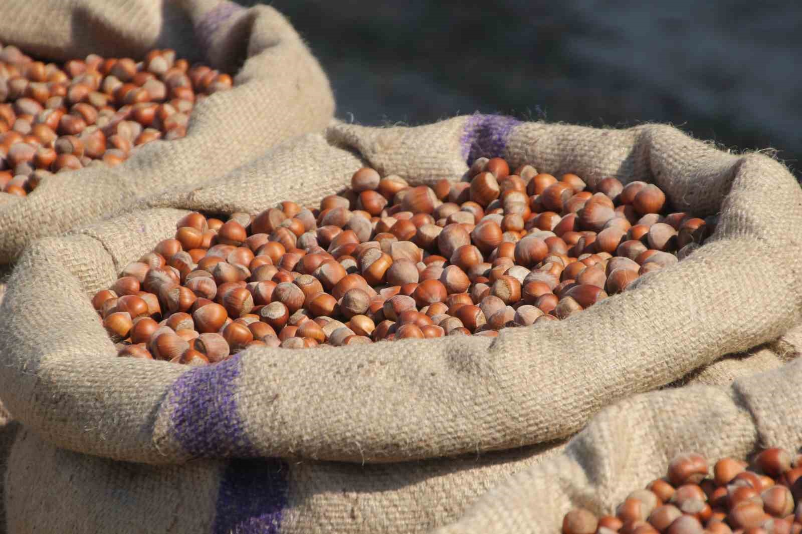 Akça: "Fındıkta tekelci yapının manipülasyonu bitmek üzere"
Akça: "Fındıkta tekelci yapının manipülasyonu bitmek üzere"