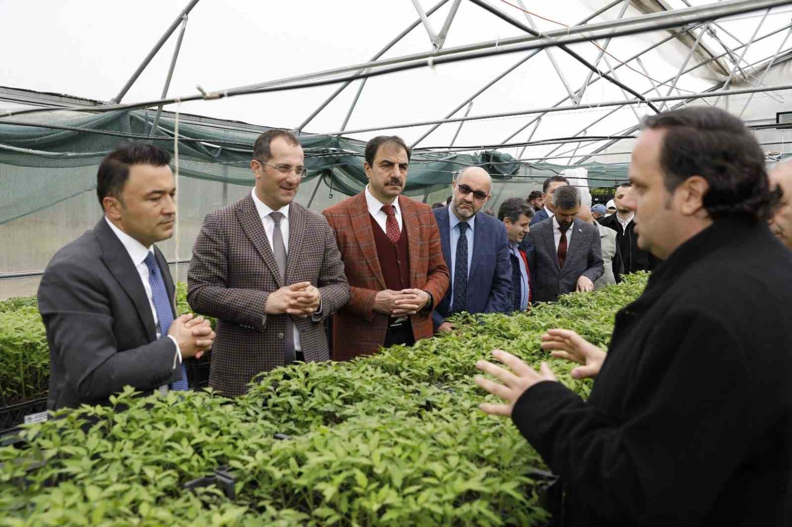 Akçaabat’ta üreticilere 25 bin sebze fidesi dağıtıldı
