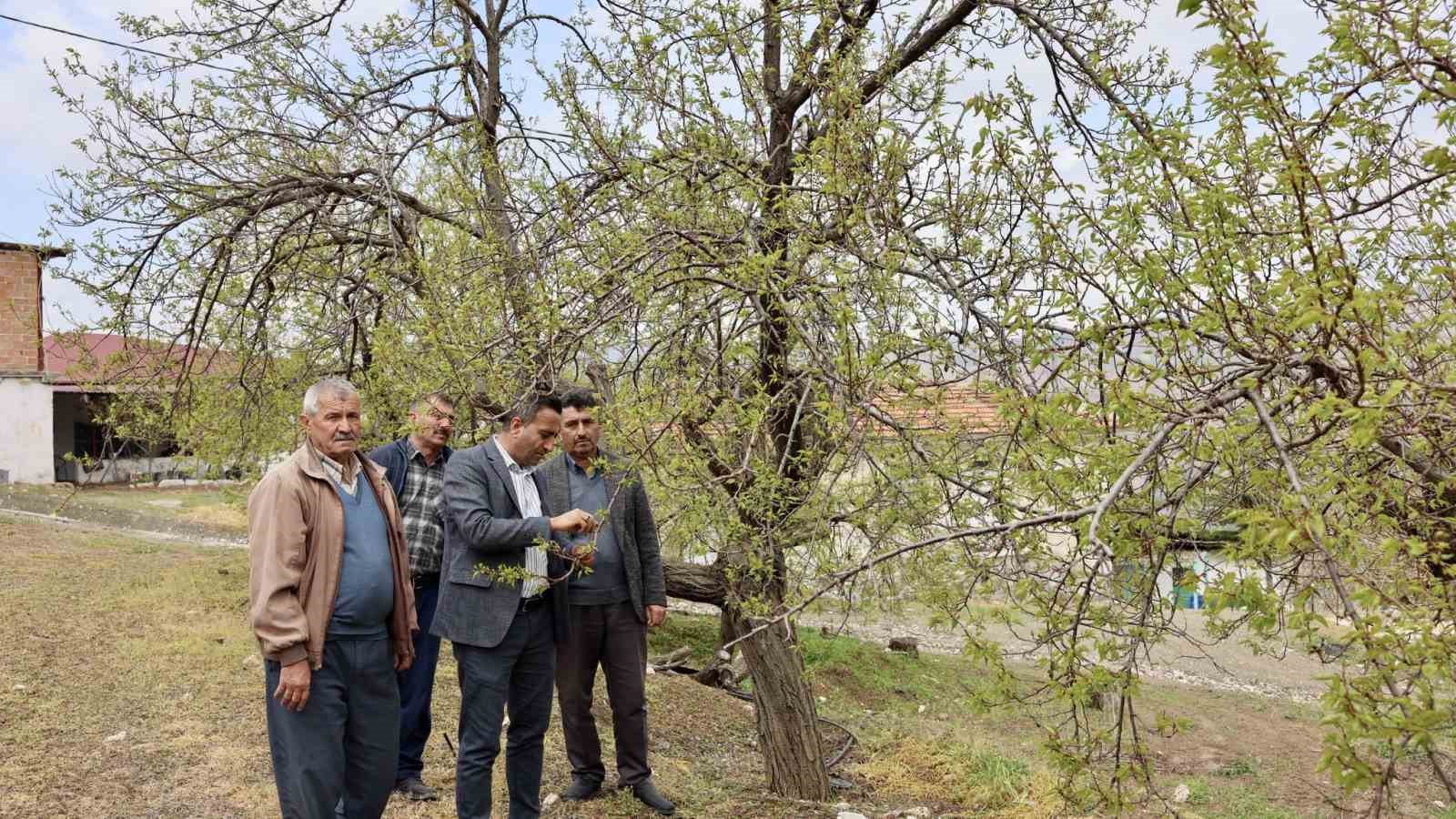 Akçadağ Belediye Başkanı Ulutaş, doludan etkilenen üreticileri ziyaret etti
