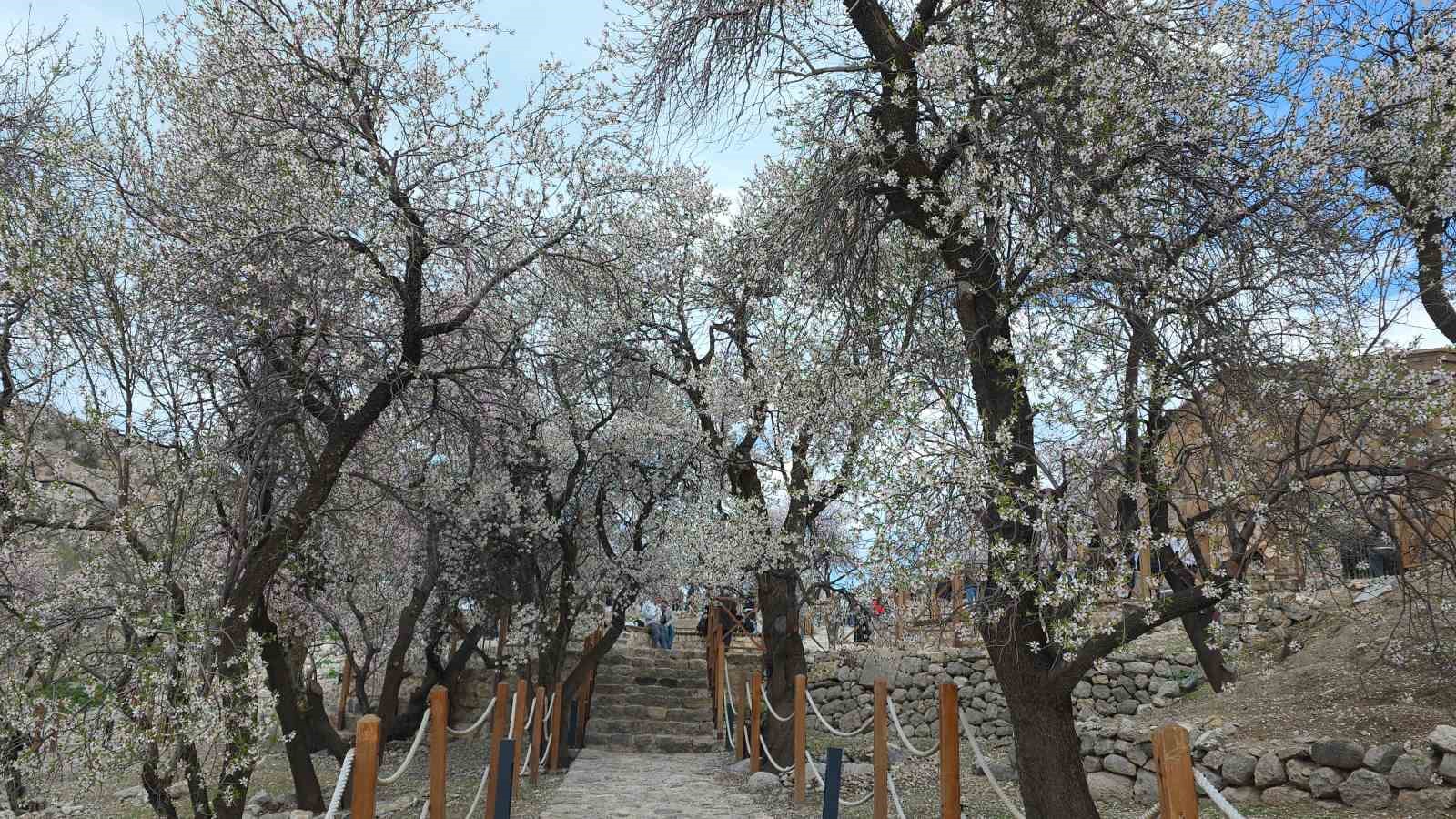 Akdamar Adası’nda 23 Nisan yoğunluğu
