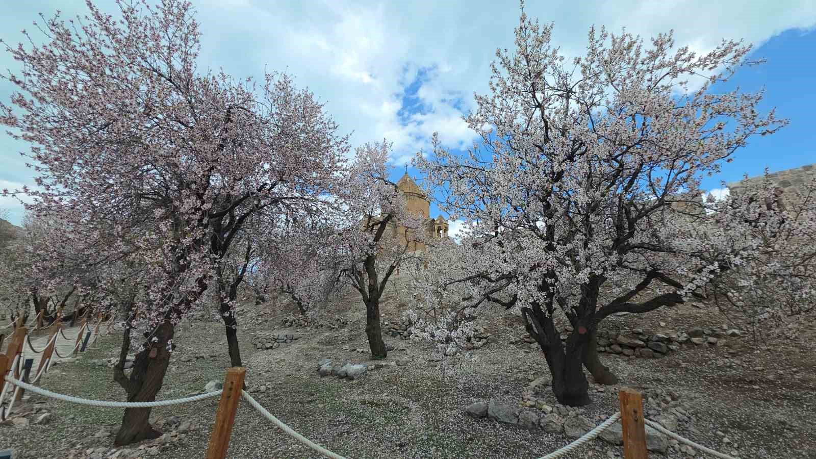 Akdamar Adası’nda 23 Nisan yoğunluğu
